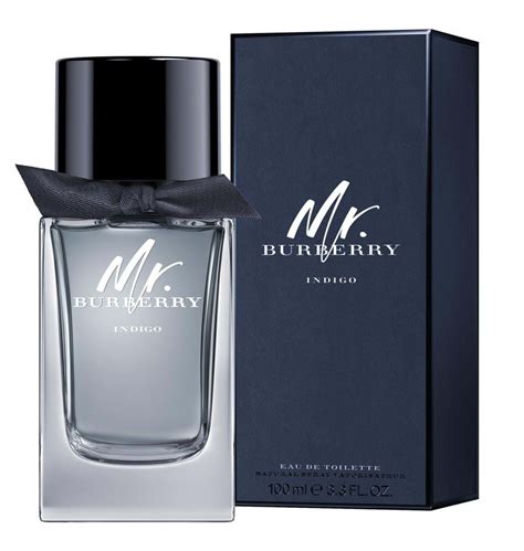 mr burberry indigo eau de toilette 100ml|mr burberry indigo cologne reviews.